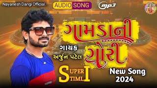 Arjun Patel New Timli gafuli Song 2024Gamadani GoriNew Dhamaka Timli 2024 [upl. by Nevuer]