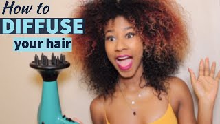 How to use a hair diffuser with Cantu products photoshoot day [upl. by Edlun]