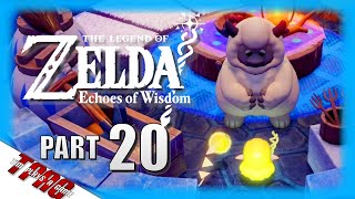 Hebra Mountain  Zelda Echoes of Wisdom Part 20  TPAG [upl. by Zetneuq]