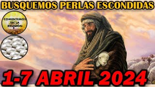 Comentarios Perlas Escondidas de Esta Semana 17 Abril 2024 [upl. by Elgna]