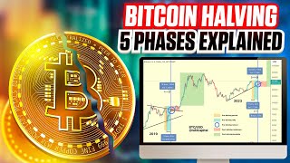 5 Phases of the Bitcoin Halving  Updated Ultimate Guide For 2024 [upl. by Don]