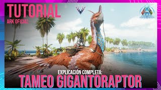 COMO TAMEAR AL GIGANTORAPTOR  ARK SURVIVAL ASCENDED  Vattghornn [upl. by Gregor226]