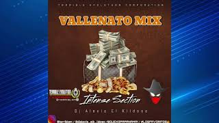 Vallenato Parrandero Mix  Dj Alexis El klidoso Ft Terrible Evolution Corporation Mixtape [upl. by Mohkos825]