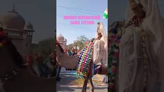 Bikaner ka yah najara aapka man Khush Kar Dega🥰 International Bikaner camel festivalsubscribe [upl. by Suilenroc335]