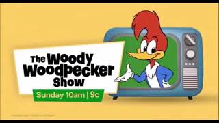 MeTV Toons The Woody Woodpecker Show Promo 3 BenthePatrol03MediaCorner Style [upl. by Kipper]