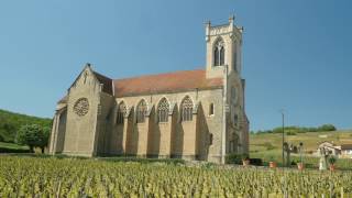 The Wines of Burgundy [upl. by Cathleen]