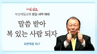 4단계회개 24년 11월 01일 금요일 새벽 [upl. by Haron]