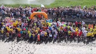 Maldon mud race 2024 drone [upl. by Sirois]