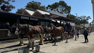 Sovereign Hill Tour Ballarat team tour after national championships 2024 [upl. by Elnukeda]