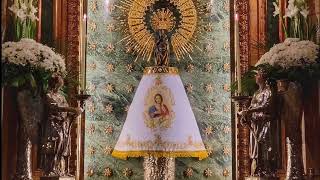 Mantos de la Virgen del Pilar Maria Luisa Gasca mantosdelaVirgendelPilar [upl. by Stanley]