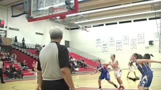 Womens Basketball  York Lions vs Laurentian Lady Vees  Feb 3 2011 [upl. by Atem]