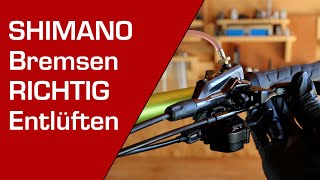 SHIMANO Bremsen entlüften  befüllen  MTB  ROAD  Deutsches Tutorial [upl. by Nhguahs]