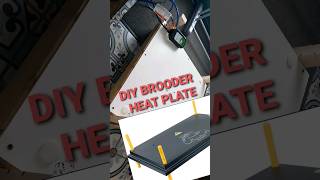 DIY Brooder Heat Plate diy chicks homestead quebec incubator brooding chicken [upl. by Onailerua]