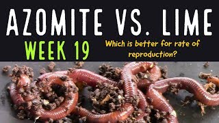 Azomite Vs Lime 19th Week Update Experts Wanted [upl. by Krein]