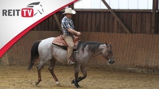 Westernreiten  Spin Sliding Stop und Rollback [upl. by Rehpotsirhc]