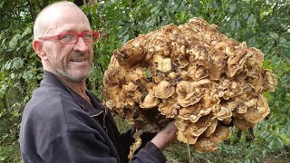 PORCINI NEL CASTAGNO E TROVO UNA GRIFOLA GIGANTEA [upl. by Benkley]