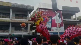 Cap Go Meh 2016 Pontianak Dragondance [upl. by Anwat]