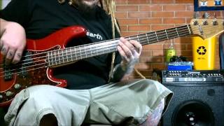 Mein bass cover  Deftones [upl. by Lobel]