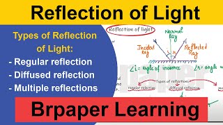 Reflection of Light  introduction and Types of Reflection  Brpaper Learning [upl. by Nicram]