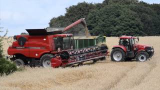 Roggen dreschen 2014 mit Case IH Axial Flow 9120 Kurz video [upl. by Astera]