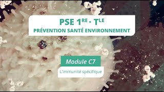 PSE module C7 bis  Limmunité spécifique [upl. by Annaihs860]