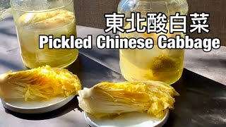 東北酸白菜｜不需汆燙、生水就能醃製，看到賺到Pickled Chinese Cabbage ｜字幕Eng Sub [upl. by Bauske881]