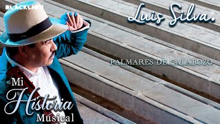 Luis Silva  Palmares De Calabozo Audio Oficial [upl. by Rosette]