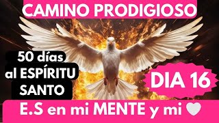 DIA 16 🔥❤️CAMINO PRODIGIOSO 50 DÍAS AL ESPÍRITU SANTO 🔥QUÉDATE en mi BOCA Y en mi CORAZÓN ❤️ [upl. by Mervin934]