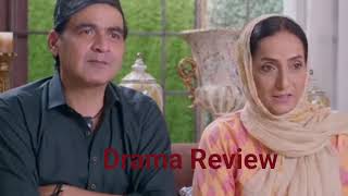 Pakistani drama Review Mohabbat Reza Reza Episode 27 17th November 2024  Mirza Zain Baig Drama [upl. by Ernst]