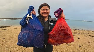 Biggest Scallops Weve seen  Exploring Anglesey [upl. by Migeon]