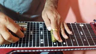 Grandioso ès Tu Guitarra Havaiana Hawaiian Steel Guitar 12 cordas [upl. by Ollehto]