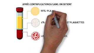 Milieu intérieur Part 02  Les compartiments liquidiens de lorganisme [upl. by Pauwles]