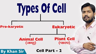 GCSE Biology  Cell Types and Cell Structure 2 [upl. by Nerrag]