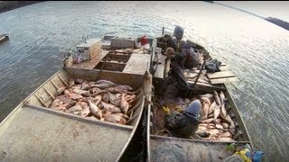 Carp Madness  Commercial Fishing Tournament [upl. by Atsahc]