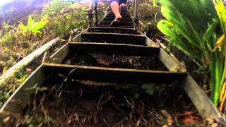 Stairway to Heaven Hike Hawaii  GoPro [upl. by Amabelle914]