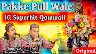 Peer illahi Baksh Ji Ki Qawwali  Pakke Pull Wale Ki Qawwali 2022  Naushad Shehzad Sabri [upl. by Suiratnod847]