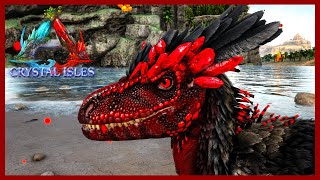 All Deinonychus egg and Nest Spawn locations In Valguero Ark Survival Evolved [upl. by Tennies]