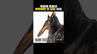 웃대인 포토샵 레전드 [upl. by Nhoj]