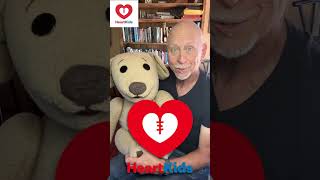 David Strassmans donates Ted E Bare Puppets for the HeartKids Gala Ball [upl. by Fulvia]