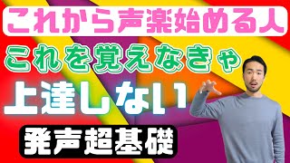 今日声楽を始めた人に覚えて欲しい事７選【発声基礎】162 [upl. by Anaeel]