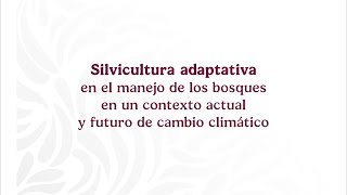 Webinar Silvicultura adaptativa en el manejo de los bosques [upl. by Bittencourt842]