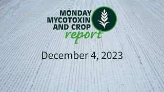 Monday Mycotoxin and Crop Report for December 4 2023 [upl. by Ancelin833]