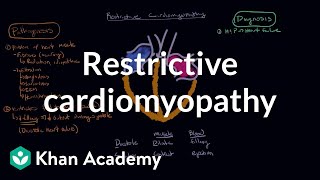 Restrictive cardiomyopathy Pathophysiology and diagnosis  NCLEXRN  Khan Academy [upl. by Sivam]