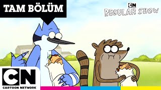 SÜREKLİ DİZİ  Yemek Molası  TAM BÖLÜM  cartoonnetworkturkiye [upl. by Alolomo]