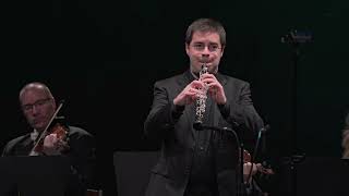 Albinoni  Oboe Concerto in D minor Op 9 No 2  Ramon Ortega oboe  Zagreb Soloists [upl. by Lynett383]