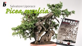 Bonsai Focus Masterclass  12009 [upl. by Auguste757]