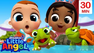 Turtles Swimming and Reptiles Show  Animal Videos  Little Angel Nursery Rhymes and Kids Songs [upl. by Parthinia417]