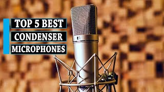 Condenser Mic 5 Best Condenser Microphones  You Can Buy [upl. by Drofhsa680]