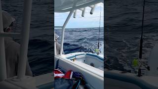 EPIC SAILFISH JUMPING fishing tarpon sailfish offshorefishing florida [upl. by Wiencke]