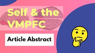 THE VMPFC 🧠  What Does It Do  Self Attachment amp the vmPFC [upl. by Yllak]